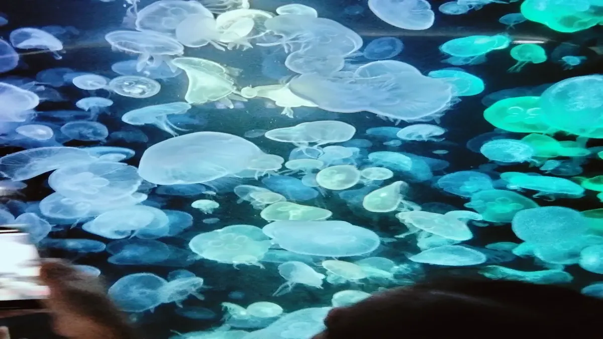 คุณชอบชายหรือหญิง