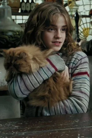 Hermione