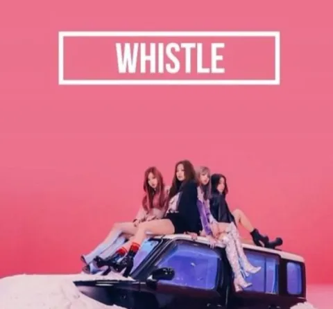 Whistle
