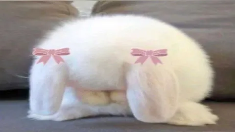 ความรักของคุณในตอนนี้