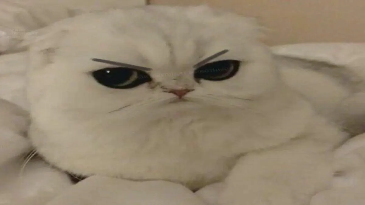 คุณขี้หึงระดับไหน🫧