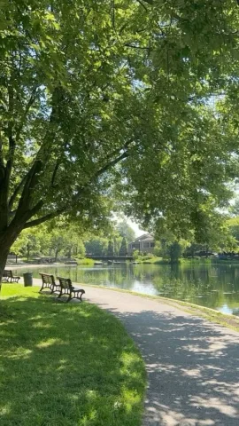 เดินเล่นชิวๆ