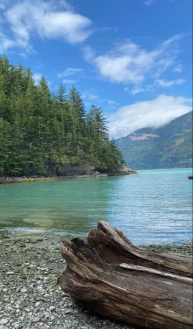 Go to Canoe Lake with the rest of the camper (Somebody saw Percy and Annabeth went into the water together)