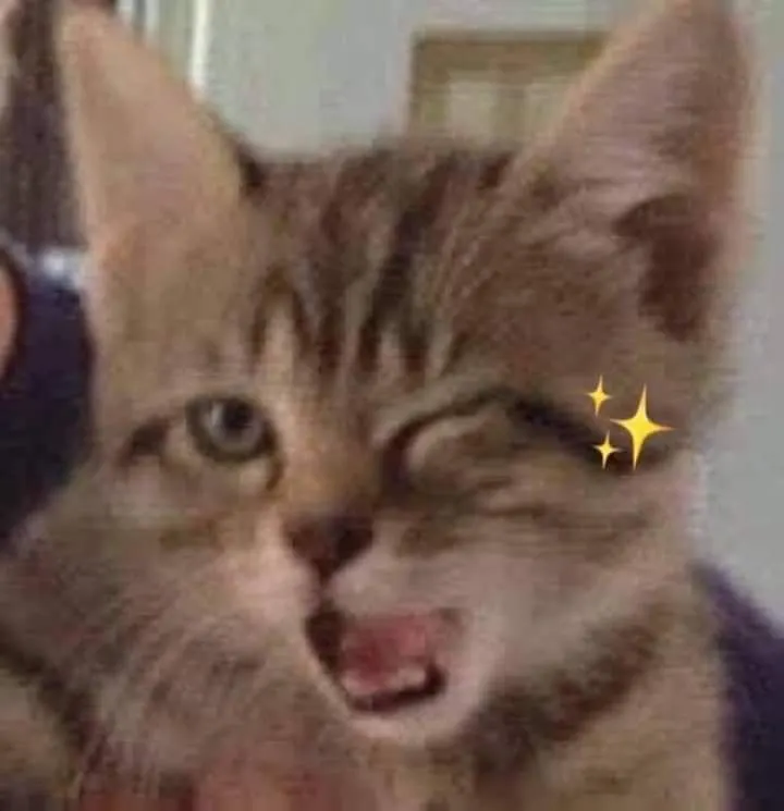 ผิดพลาดยังไงถูกใจอ่ะเปล่าก็บอกกันมาได้น้าา