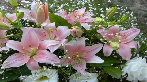 เมื่อคุณเปิดร้านขายดอกไม้