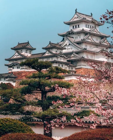 วังหลวง