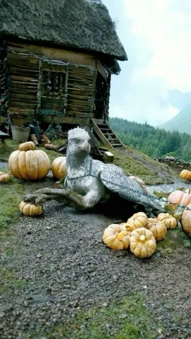 ดูเเลสัตว์วิเศษ