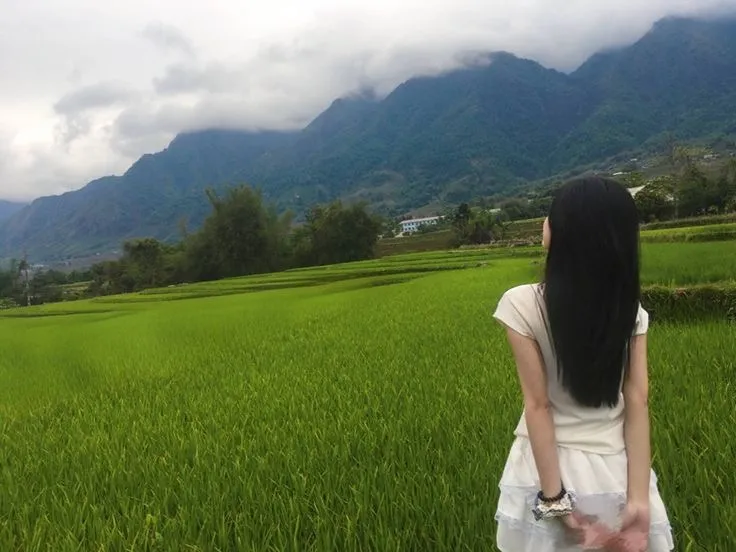 สัตว์เลี้ยงวิ่งมาต้อนรับคุณ