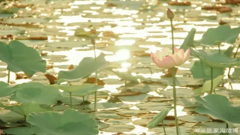 ♡˳ ˳⠀เมื่อคุณได้ย้อนเวลาไปในสมัยอยุธยา 　↻ ช่วงราชวงศ์บ้านพลูหลวง 🕯️