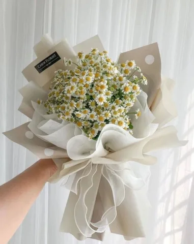 🌸 เดซี่ &ndash; รักใสๆ จริงใจ ไม่ซับซ้อน