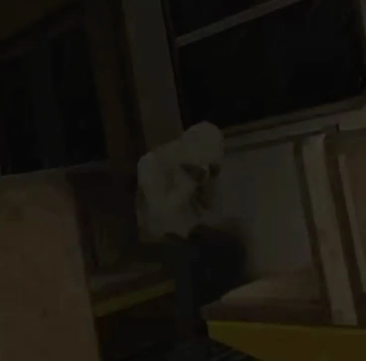 Cry of fear พัฒนาโดยใคร