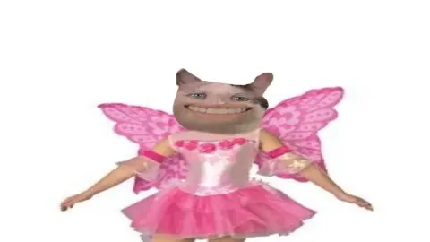 คุณจะเป็นนางฟ้าแบบไหน 🧚🏻🧚🏻&zwj;♀️