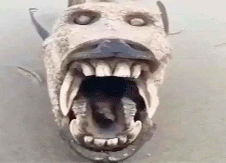 ถ้าเพื่อนยืมปากกาของคุณไปแล้วไม่ได้คืนคุณจะทำอย่างไร