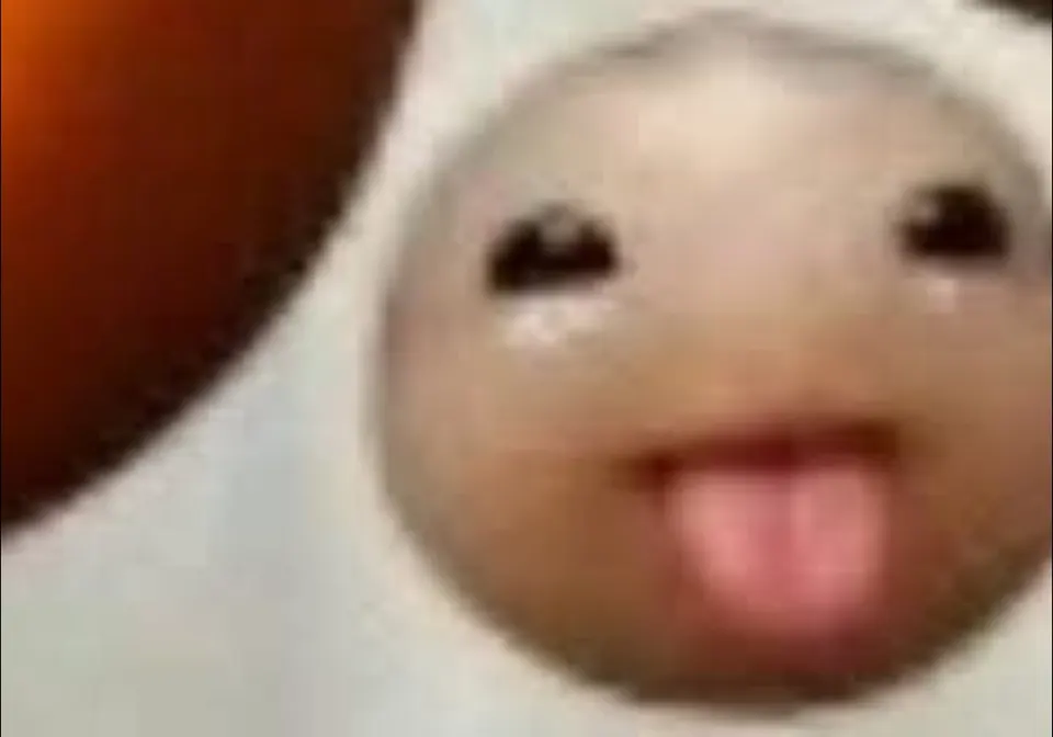 โบนัส : คุณกินแตงโมแบบไหน