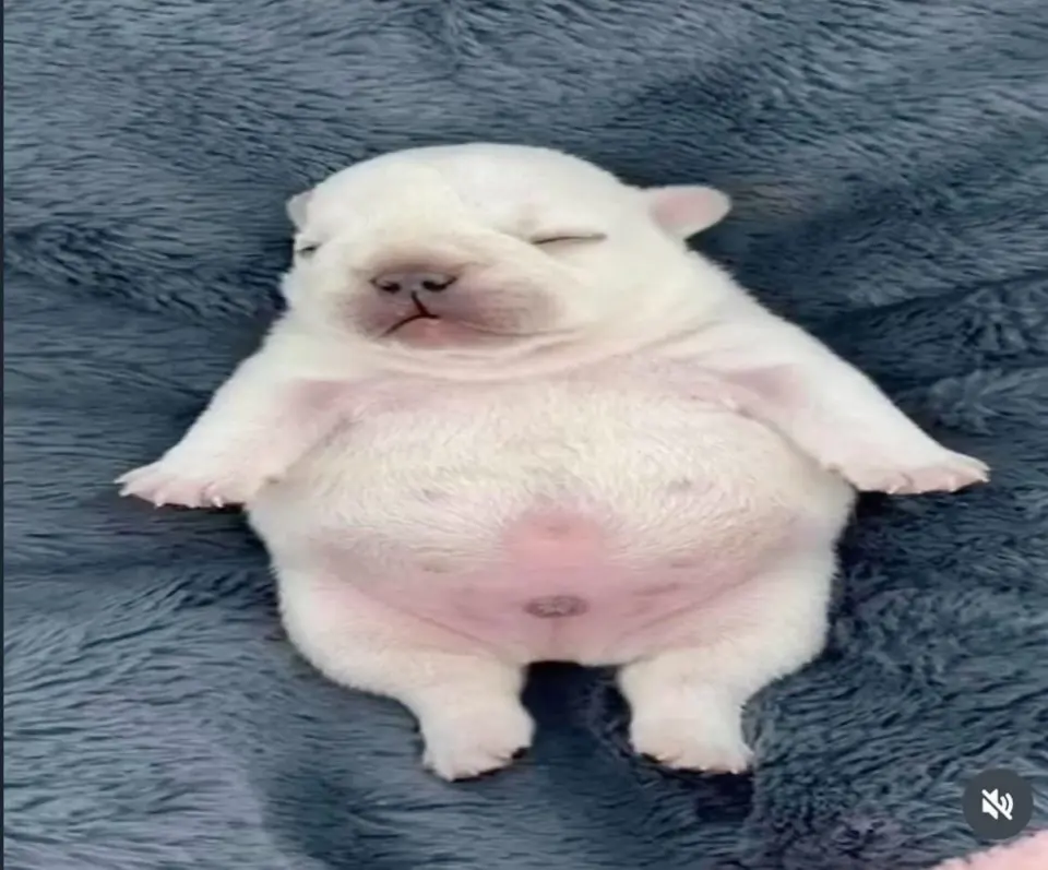 คุณไม่ชอบส่วนไหนของร่างกายที่สุด