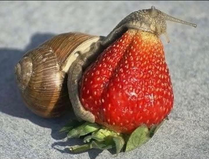 วันนี้คุณมีพลังแค่ไหน