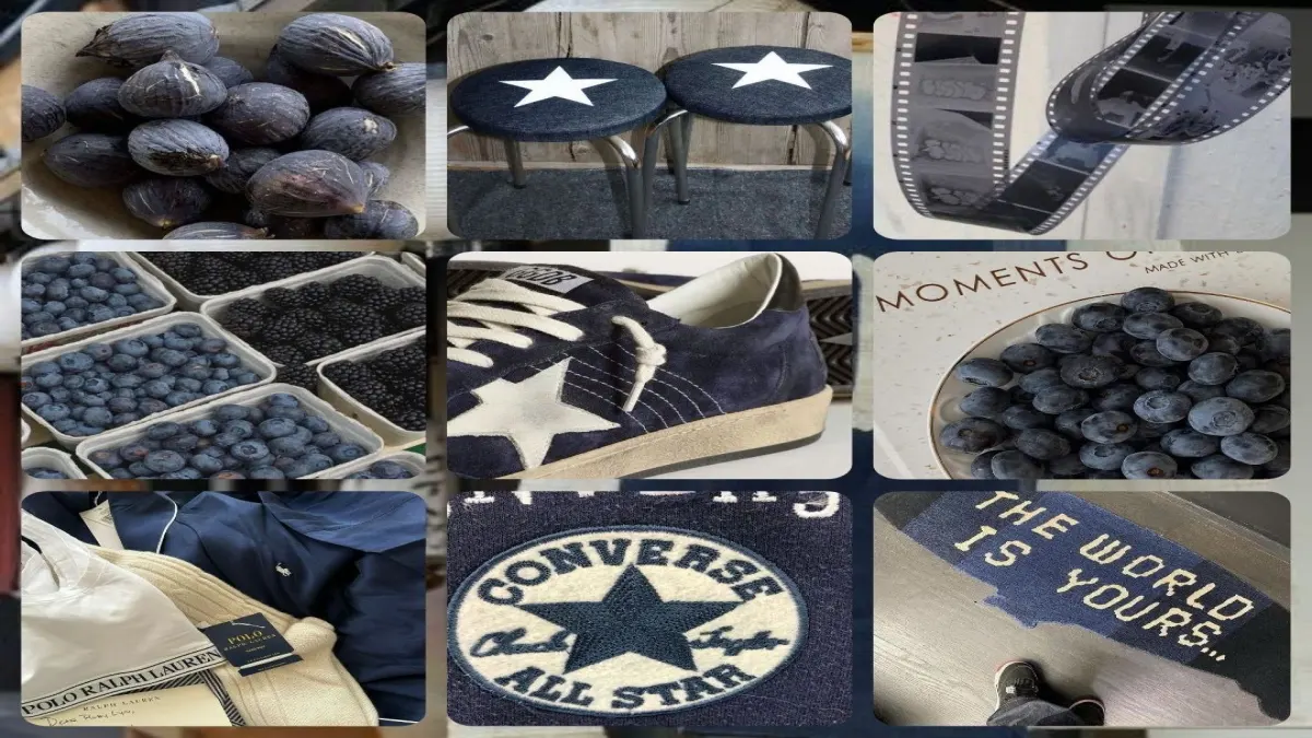 🌀 เมื่อคุณใช้ชีวิตสีน้ำเงิน . ᵎᵎ 🫐