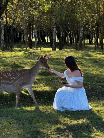 เล่นกับสัตว์