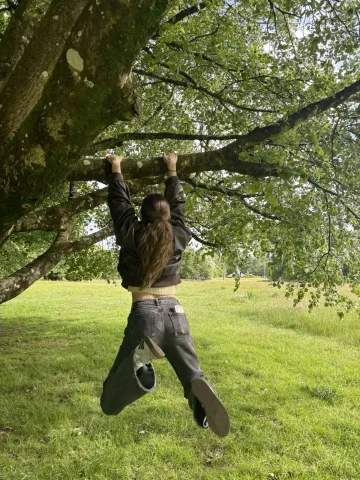 ดื้อจัด