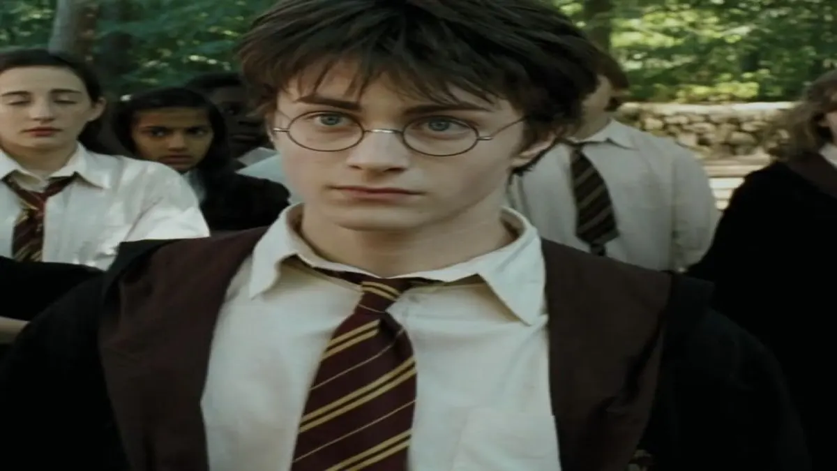 &ldquo;If You Were a Villain in Harry Potter&rdquo;