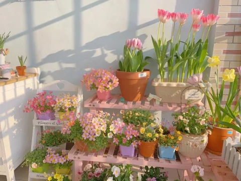 Flower shop / ไปร้านดอกไม้