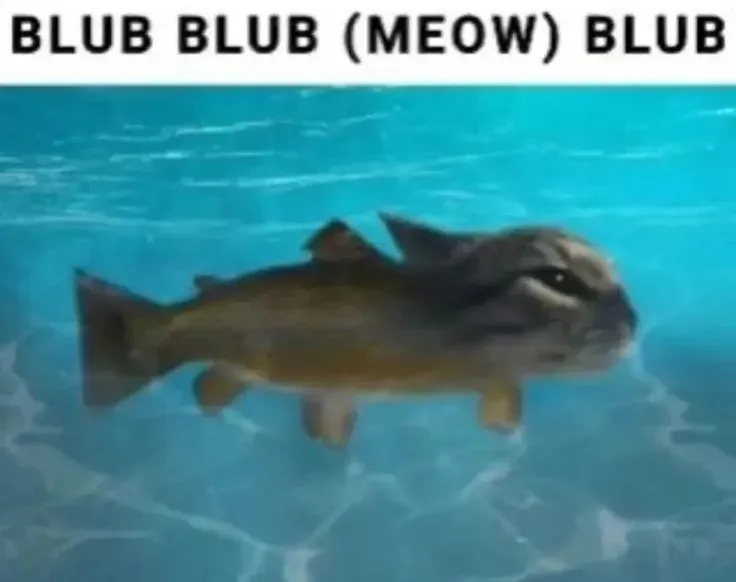 แอดมินคนไหนใหญ่สุด