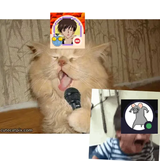 ถ้าแอดมินไปรายการ the voice แอดมินคนไหนจะชนะ