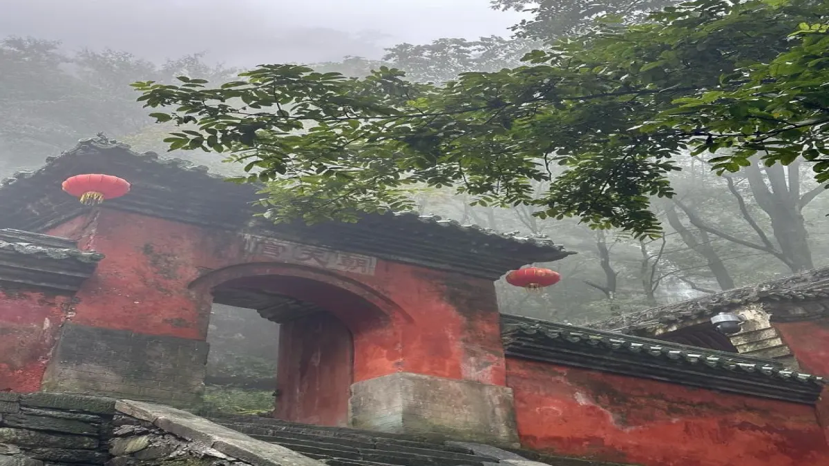 หนึ่งวันในเรือนหมอยา