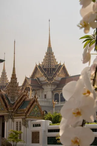 TH ในประเทศไทย