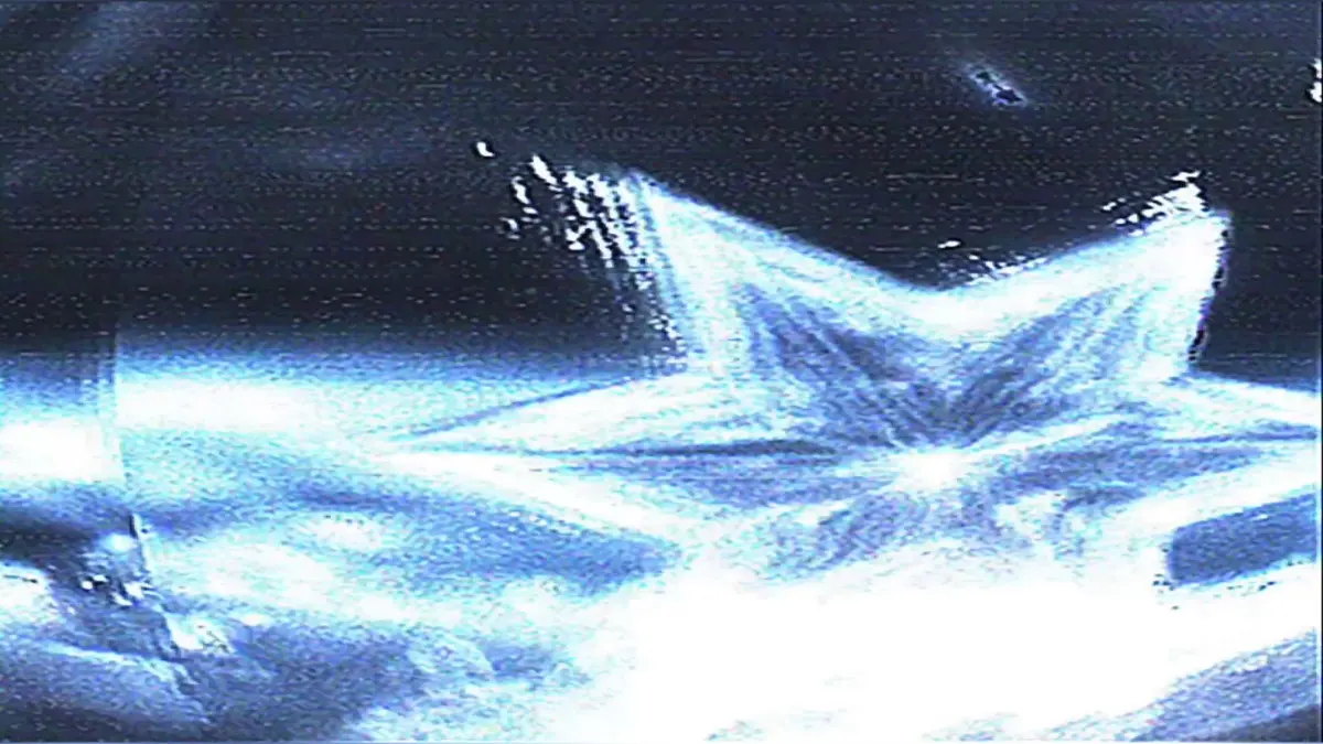 คุณคือสัตว์ประเภทไหนกันนะ❔✨💗