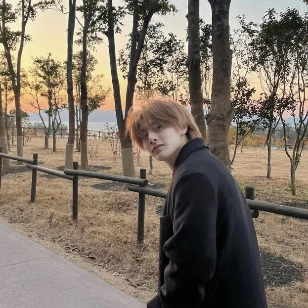 I.N ( ไอเอ็น )