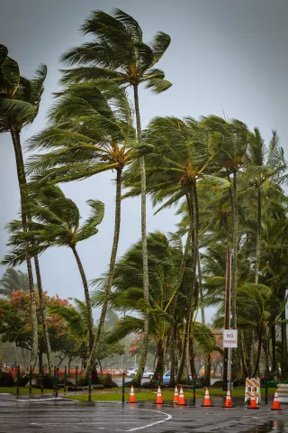 เปลี่ยนจากพายุไปเป็นลมที่แผ่วเบา เหมือนกับความโกรธที่ค่อยๆเบาลง