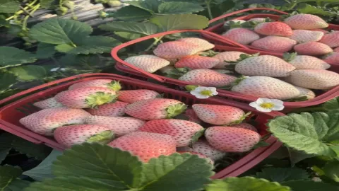 เมื่อคุณเปิดร้านเช่ากล้อง/รับจ้างถ่ายรูป