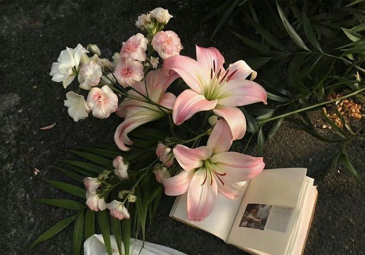 ใช้ชีวิต1วันในชนบท🌷🌿