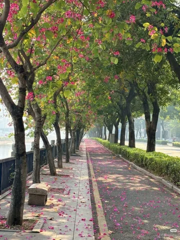 สวนสาธารณะ