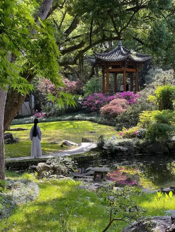 สวนดอกไม้ในวัง