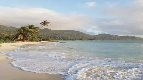 𝚈𝚘𝚞𝚛 𝙳𝚛𝚎𝚊𝚖 𝙱𝚎𝚊𝚌𝚑 𝚃𝚛𝚒𝚙 🌊