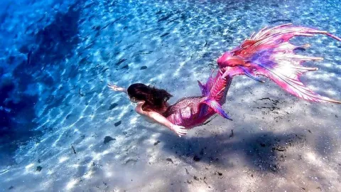 𝙄𝙛 𝙮𝙤𝙪 𝙬𝙚𝙧𝙚 𝙖 𝙢𝙚𝙧𝙢𝙖𝙞𝙙 🧜