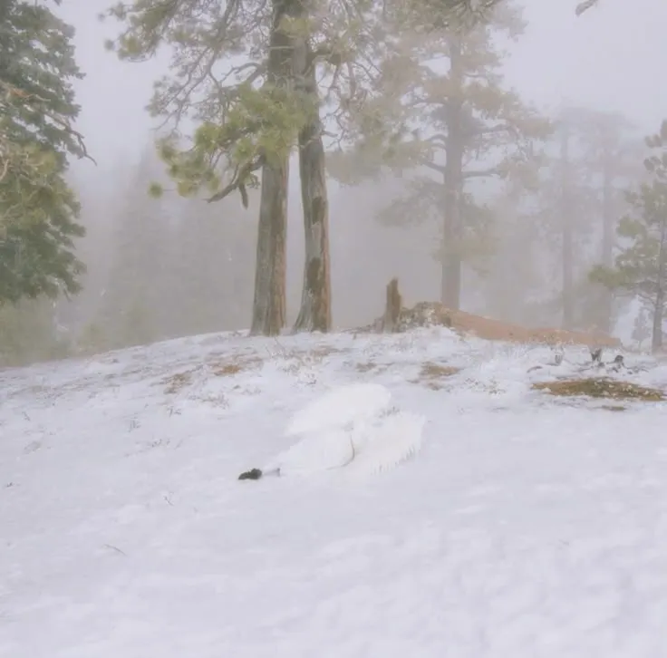 เพลงนี้คือ?