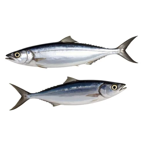 ปลาซาดีน