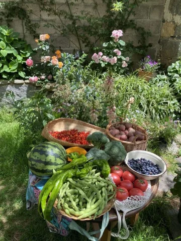 ปลูกผัก ผลไม้ ดอกไม้ ต้นไม้