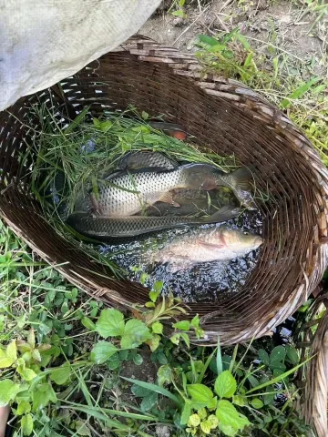 เลี้ยงปลา