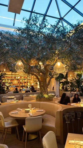 แสงเหลืองนุ่มๆ กับต้นไม้ใหญ่กลางร้าน ทำให้รู้สึกผ่อนคลายแบบสบายใจ มันให้ความรู้สึกเหมือน &ldquo;โลกข้างนอกวุ่นวาย แต่ตรงนี้ปลอดภัย&rdquo;