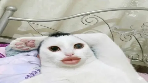 คุนคือพระเอกคนไหนในอนิเมะเบียว