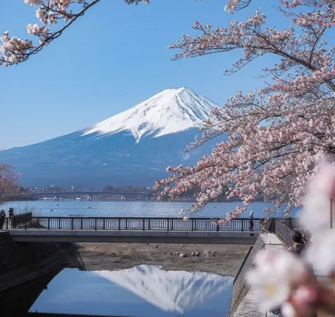 ญี่ปุ่น