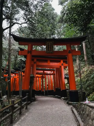 (คนที่เลือกญี่ปุ่น)