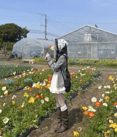 (คนที่เลือกญี่ปุ่น)