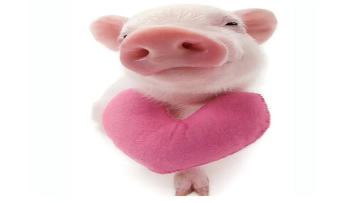 When you are a kindergarten teacher 🍡🍥