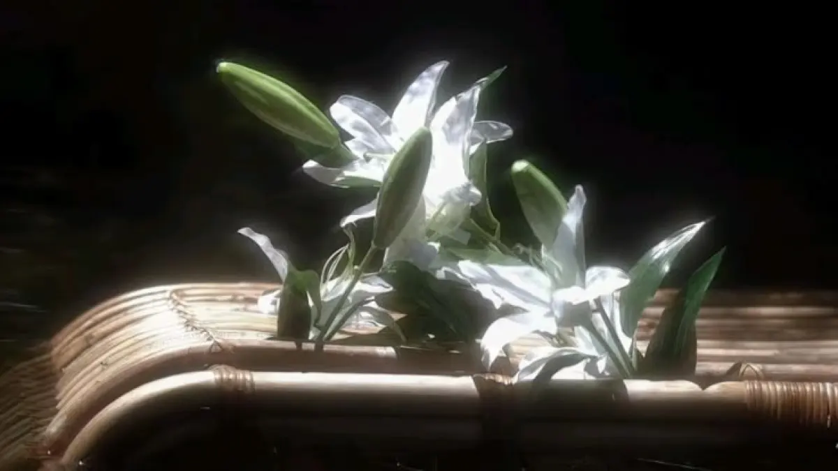 𝙄𝙛 𝙮𝙤𝙪 𝙬𝙚𝙧𝙚 𝙡𝙞𝙫𝙞𝙣𝙜 𝙞𝙣 𝙩𝙝𝙚 จุฑาเทพ / เทวพรหม 𝙚𝙧𝙖 ✨