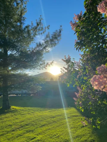 สีโทนธรรมชาติ เอิร์ธโทน หรือแสงอาทิตย์อุ่น ๆ